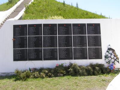 Прикрепленное изображение: P6117138.JPG